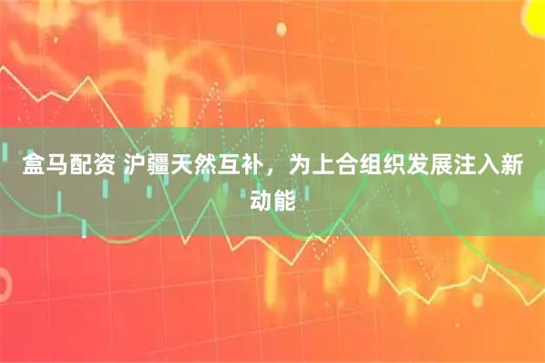盒马配资 沪疆天然互补，为上合组织发展注入新动能