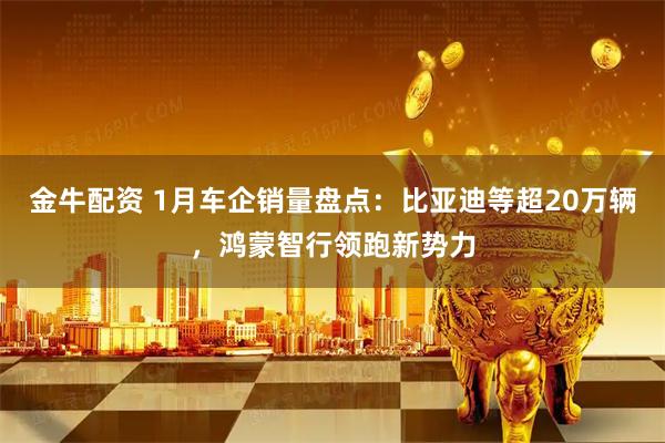 金牛配资 1月车企销量盘点：比亚迪等超20万辆，鸿蒙智行领跑新势力