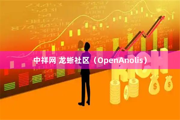 中祥网 龙蜥社区（OpenAnolis）