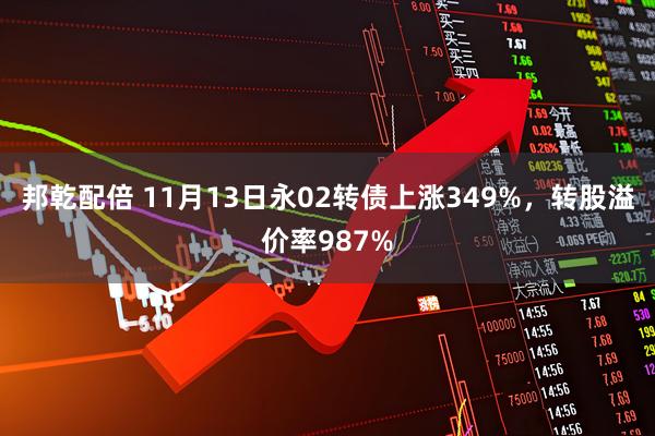 邦乾配倍 11月13日永02转债上涨349%，转股溢价率987%